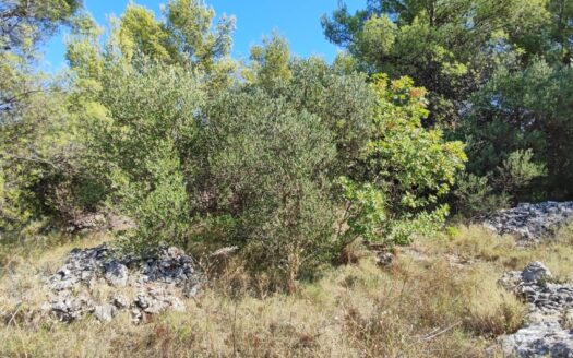 Poljoprivredna zemljišta na Visu – ukupno 18.767 m²