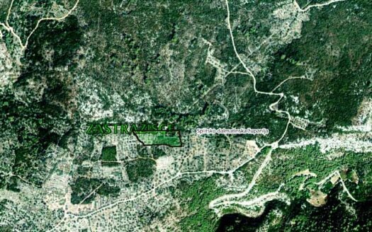 Grunty rolne – wyspa HVAR, Zastražišće